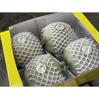 산밑과일가게 머스크메론 선물 세트 8kg내외 4수, 1박스