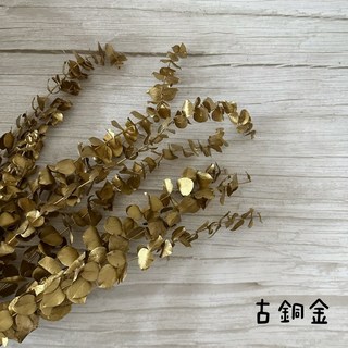 進口不凋寶貝尤加利葉原裝把販售小圓葉乾燥花永生花不凋花, 古銅金