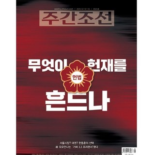 주간 조선 1년 정기구독 + 특별혜택, 상세설명 참조