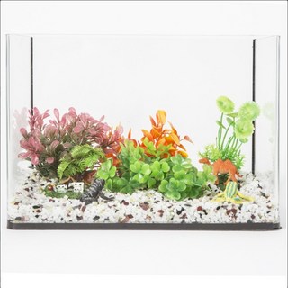 미니어항 동물농장 어항세트 30cm 열대어 수조, 1개