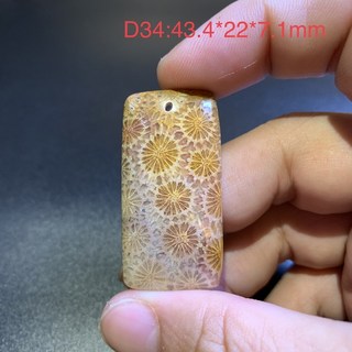 珊瑚玉 又稱 菊花石 吊墜 D34 全透光。 尺寸:43.4*22*7.1mm(長*寬*厚)
