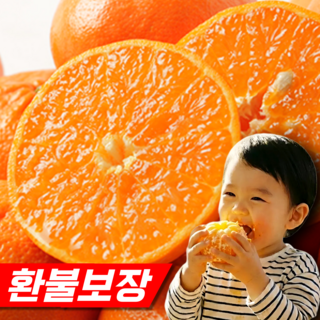 [환불보장] 오형제농원 12brix 타이벡 감귤, 1박스, 특품(L) 5kg