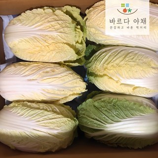 바르다야채 알배기배추 쌈배추 2포기 6포기 12포기, 8kg, 1박스