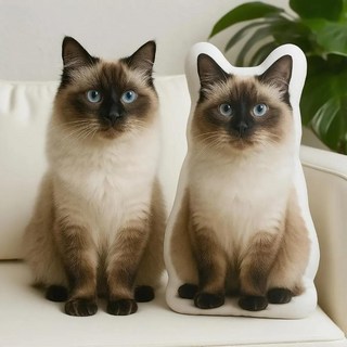 귀여운 애완동물 초상화 쿠션 양면 인쇄 기념, A. 20cm, 1. composite colour, 1개