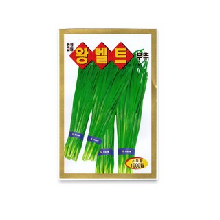 모칸도 동원종묘 왕벨트 부추 1000립, 1개