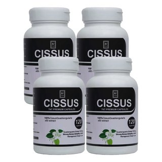 티엔티 시서스 캡슐 50배 고농축 120정 시서스가루 캡슐 시저스 분말 캡슐당500mg, 4개, 시서스 캡슐 50배 120정(500mg/캡슐)