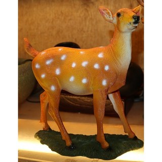 【吉蓮工坊】熱銷產品暫時沒有喔!! 已追加中請稍等(11/26更新)-20251102