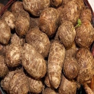국내산 토란 상, 1개, 1kg