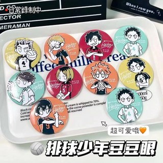 排球少年豆豆眼系列徽章，日向及川黑尾影山飛雄研磨木兔，可愛周邊收藏, 岩泉,豆豆眼排球少年吧唧, 1個