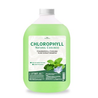 康朵 葉綠素香氛涼感專業級沙龍洗髮精 3500ML (超商/店到店 限1罐), 1個