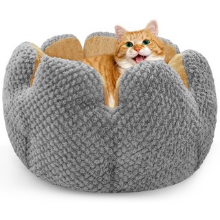 Spring Blossoms-플러시 선인장 반려동물 침대 --- 편안한 도넛형 고양이/강아지 침대로 베개가 포함된 따뜻한 강아지 집입니다., 1개, 회색