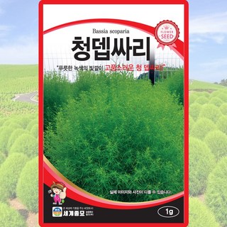 세계종묘 청뎁싸리 씨앗 1g 코키아 청색 댑싸리 꽃씨 종자, 1개