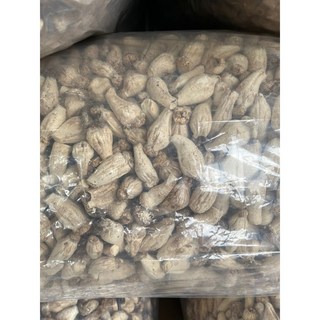 埔里香菇 鮑魚菇 - 熬湯鮮湯 煮高湯 肉厚飽足感, 1個, 一斤