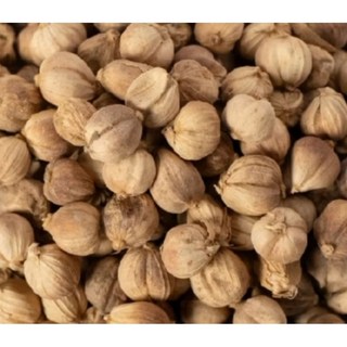 金協和【嚴選精品】白豆蔻600g 白荳蔻 10斤以上聯絡小編有優惠價 調味香料 養身食品 養生食品, 1個