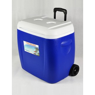 대용량 단열 아이스박스 28L 38L 차량용 휴대용 가정용 야외 캠핑 냉장고 보냉용 상자, 신형 28L 블루 대형 얼음블록