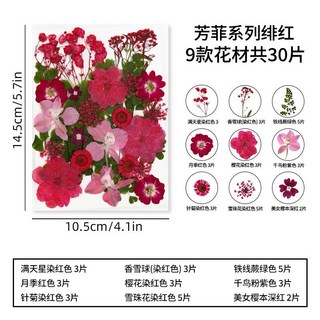 【芳菲系列】真花壓花永生花大花包組合，森林系少女寫真壁畫DIY水晶滴膠乾燥花植物標本, 2.緋紅