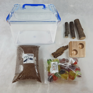 장수풍뎅이 성충 사육세트 관찰세트 산란세트, 02.[대형클린] 장수풍뎅이용 관찰세트, 1개