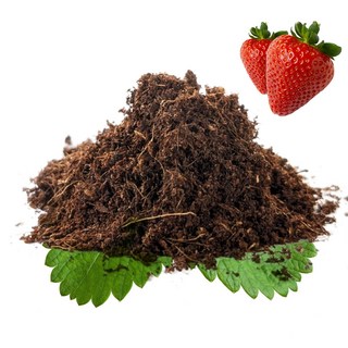 草莓種植土, 1個, 【草莓種植土】1公升, 超取最多13份
