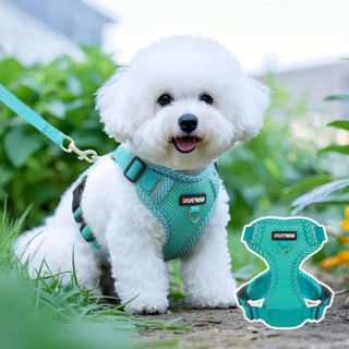 Jeernare 강아지하네스 강아지가슴줄 관절보호 소현견+고양이 겸용 +리드줄세트, 1개, 민트