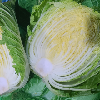 국내산 배추 통배추 생배추 포기배추 김장배추, 1박스, 5kg