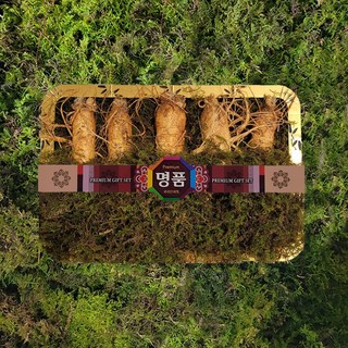 금산인삼 수삼 선물용(바구니7호)원수삼왕대 1채 750g 5~6뿌리, 1세트