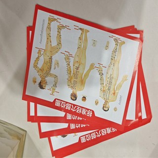 29齒黃銅經絡刷 全身按摩刷 刮痧按摩梳 揉腹部按摩器 手柄式經絡按摩棒, 穴位圖,, 1個