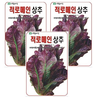 적 로메인 상추 씨앗, 3개