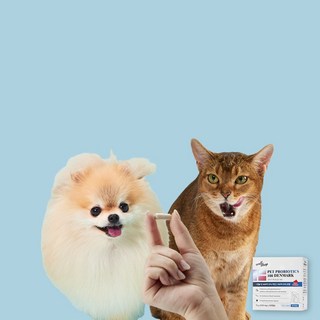 웰찹 100억 보장 강아지 고양이 덴마크 펫 유산균 프로바이오틱스 100, 30정, 장건강/유산균, 1개