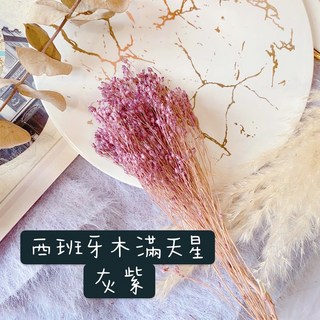 極度花 乾燥花素材 進口不彫金雀木滿天星【灰紫】乾燥花束 婚禮佈置 頭飾 素材 插花 攝影道具 新娘捧花 桌花 胸花, 灰紫
