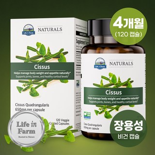 라이프인팜 시서스 100배농축 추출물 장용성 120비건캡슐 4개월분 시서스알약 가루, 1개, 120정