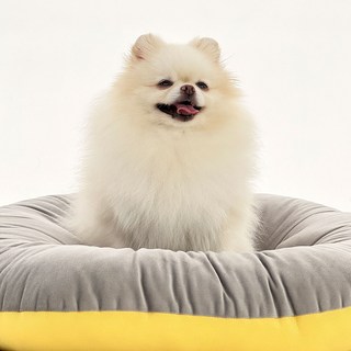 [펫어펫] 강아지 방석 애견 고양이 극세사 매쉬 양면 워셔블 방석 쿠션, 크롬 옐로우, 1개