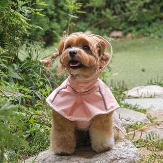 베일리 강아지우비 비옷 판초 중형견 대형견 아웃도어 레인코트, 피치, 1개