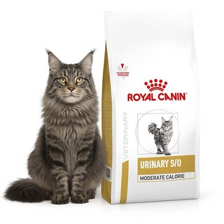 皇家 ROYAL CANIN 貓用UMC34 泌尿道/低卡處方 3.5kg, 1個, 泌尿 + 缺失