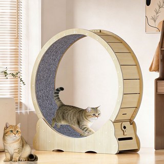 New World 캣휠 고양이 운동훈련 런닝머신 실내 롤러 스크래쳐 건강 관리 펫 장난감, 1개, 원목색