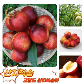 [굿피플] 꿀당도 신비복숭아 복숭아 제철신비복숭아, 1개, 신비복숭아 2kg 소과