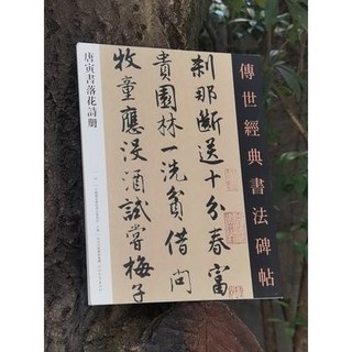 唐寅書落花詩冊 傳世經典書法碑帖 唐伯虎行書 河北教育 藝若揚帆