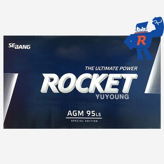 로케트 AGM95L-DIN LN5 싼타페 TM (AGM90L-DIN 호환) 자동차 배터리 공구대여 폐전지반납, 1개, 폐전지반납/공구대여안함