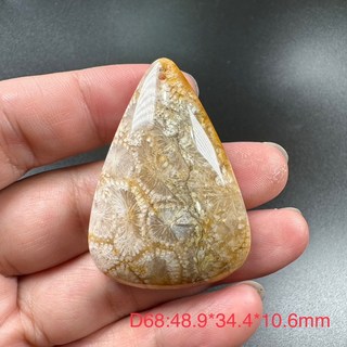 珊瑚玉菊花石吊墜 D68 全透光 尺寸48.9*34.4*10.6mm