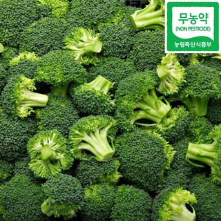 무농약 브로콜리 국내산 친환경 슈퍼푸드 저속노화, 1박스, 1kg