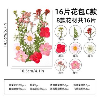 【16片系列】中花包組合 真花壓花 永生花 森林系 少女寫真 壁畫 DIY水晶滴膠 乾燥花 植物標本, 16片乾燥花-C