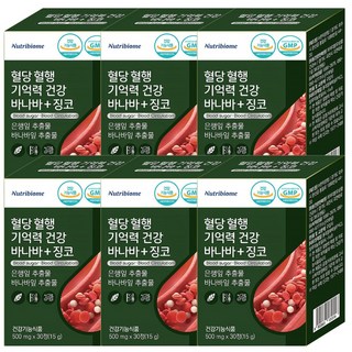 뉴트리바이옴(뉴바옴) 혈당 혈행 기억력 건강 바나바 + 징코, 6개, 30정