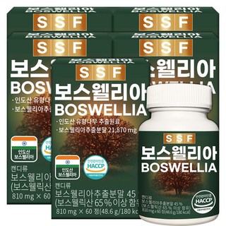 순수식품 보스웰리아 보스웰릭산65% 10개월분(300정), 60정, 5개
