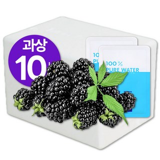 [높은당도/생과섭취] 2025년 최상급 과상오디 대용량 100% 국산, 1개, 10kg