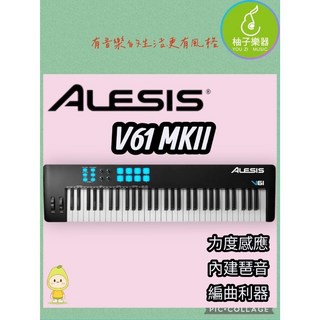 ALESIS V61 MKII 61鍵 USB MIDI 主控鍵盤