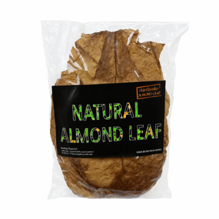 NRC알몬드잎 20장, 4개