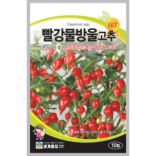 빨강물방울고추 10립 / 씨앗 종자 텃밭 채소 관상용 조생종, 1개