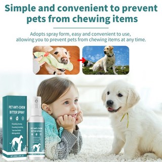100ml 무알코올 개 씹기 방지 스프레이 애완동물 훈련 및 행동 교정 도구, 01 CHINA