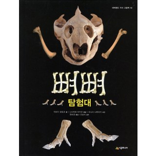 骨骨探險隊, 時空少年