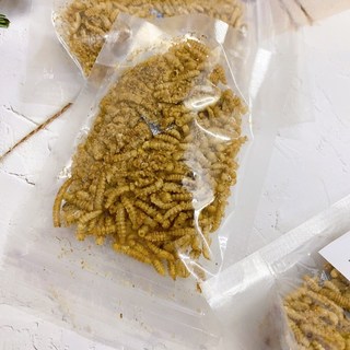 Minishow 高蛋白麵包蟲【蛹】乾15g 倉鼠零食 蛋白質 麵包蟲 蟲蛹, 1個, 麵包蟲【蛹】乾15g