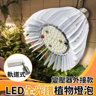 君沛植物燈 LED植物燈 50瓦 植物燈全光譜燈杯 外接變壓器款 軌道型 植物生長燈, 1個, 全光譜,軌道式